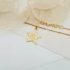 Lantisor STAR - Educatoare/Invatatoare - Argint 925 placat cu Aur Galben 18K-Lantisoare Argint-Toate >> Argint 925 >> Lantisoare Argint >> Noutati