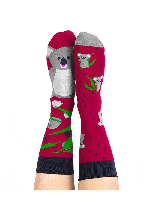 Sosete colorate Nanushki Lala Koala-SOSETE BUMBAC & JAMBIERE