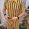 Tricou+Pantalon scurt dungi mustar / bleumarin - CMP121-Compleuri