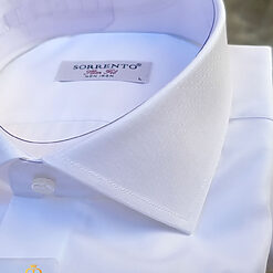 Camasa ALBA SORRENTO NON IRON 100 bumbac CR149 2