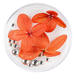Flori Uscate Unghii LUXORISE cu cristale - Floral Fairytale #20-Nail Art  data-eio=