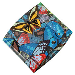 Folie de Transfer Unghii LUXORISE #420 Butterfly-Nail Art > Folii Transfer Unghii