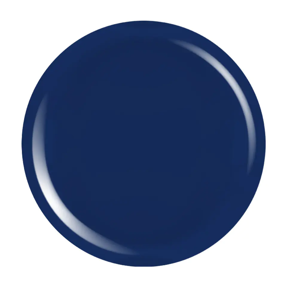 Gel Colorat UV PigmentPro LUXORISE - Midnight Muse
