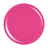Gel Colorat UV PigmentPro LUXORISE - Raspberry Taste