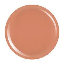Gel Colorat UV PigmentPro LUXORISE - Russet City