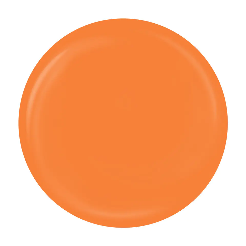 Gel Pictura Unghii LUXORISE Perfect Line - Light Orange