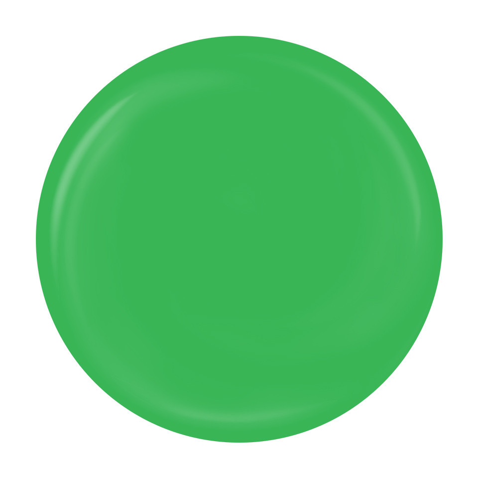 Gel Pictura Unghii LUXORISE Perfect Line - Neon Green