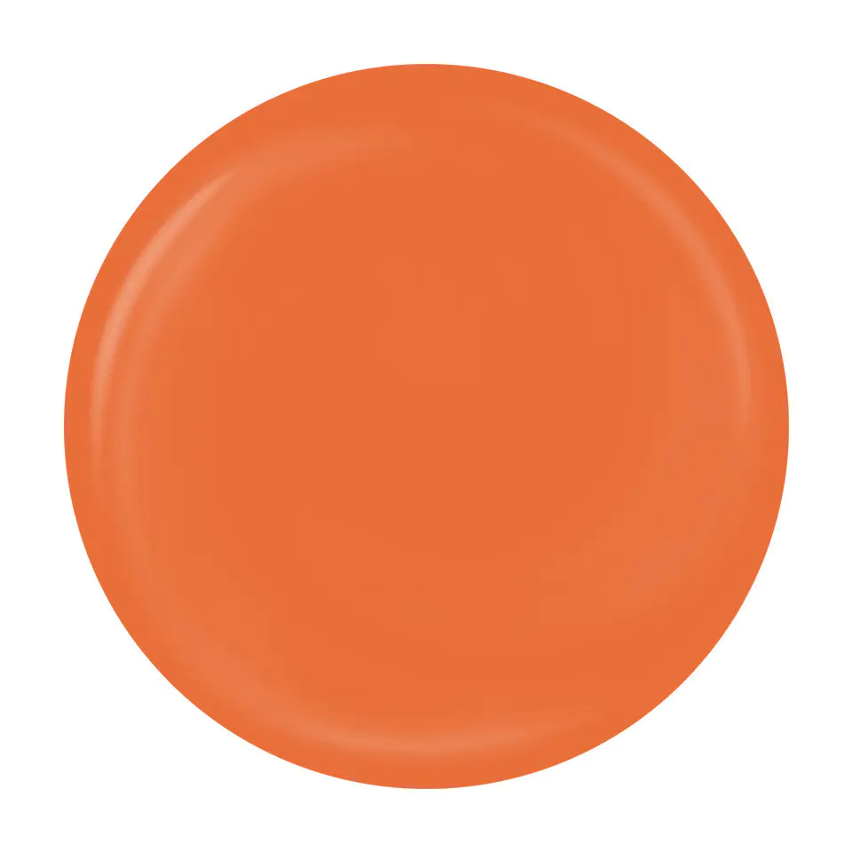 Gel Pictura Unghii LUXORISE Perfect Line - Orange