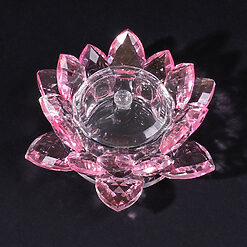 Recipient din Sticla pentru Manichiura LUXORISE Pink Flower 6