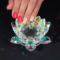 Recipient din Sticla pentru Manichiura LUXORISE Rainbow Flower 1
