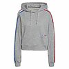 Hanorac ADIDAS pentru femei HOODIE - GN2855-Imbracaminte-Hanorace
