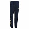 Pantaloni trening ADIDAS pentru barbati SCRIPT PANT - HF9220-Imbracaminte-Pantaloni trening