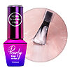 Top Coat Pearly Molly Lac fara HEMA- SepiSilver 10gr - PEF-SS - Everin.ro-PRIMER BAZA TOP ❤️