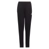Pantaloni trening ADIDAS pentru copii ENT22 TR PNT Y - HC0337-Imbracaminte-Pantaloni trening