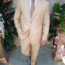 Costum de barbati bej din IN Regular Fit Sacou si Pantalon C4825 7