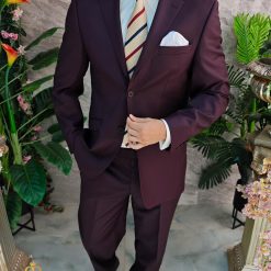 Regular-Fit: Sacou si Pantalon - C4850-Costume