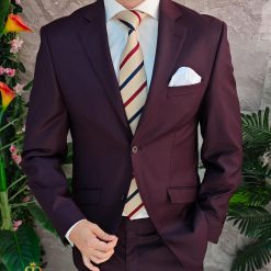 Costum de barbati bordeaux Regular Fit Sacou si Pantalon C4850 2