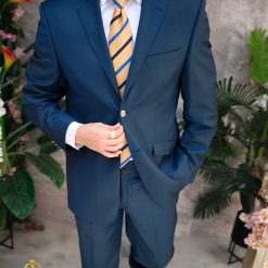 Regular-Fit: Sacou si Pantalon - C4846-Costume