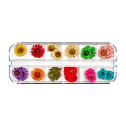 Flori Uscate Unghii LUXORISE Flower Dream 12 modele 2