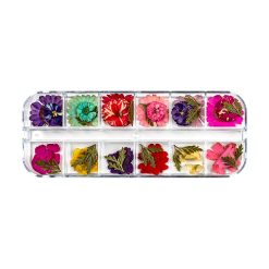 Flori Uscate Unghii LUXORISE Flower Essence 12 modele 2