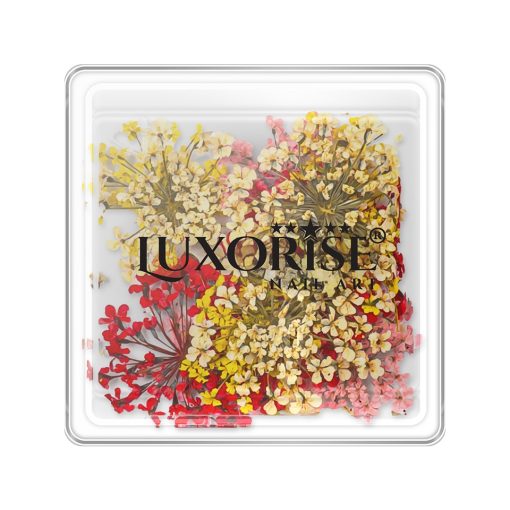 Flori Uscate Unghii LUXORISE - Mystic Flowers-Nail Art > Flori Naturale Uscate