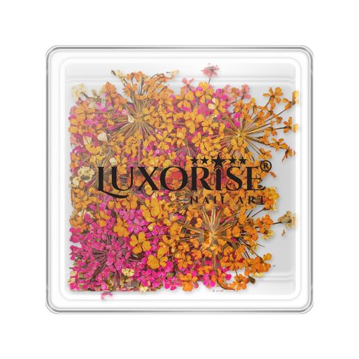 Flori Uscate Unghii LUXORISE - Secret Blossom-Nail Art > Flori Naturale Uscate