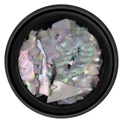 Decor Unghii tip Scoica Pisata LUXORISE - Holo Colors-Nail Art  data-src=