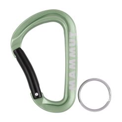 Mammut cârlig Mini Carabiner Workhorse Keylock L culoarea verde-În aer liber și turism