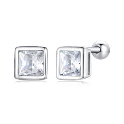 Cercei din argint Small Square Crystal Elegance-Cercei >> Cercei din argint