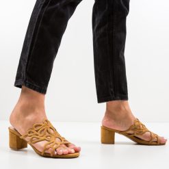 Saboti Dajoko Camel 2