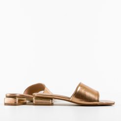 Saboti dama Maija Aurii 2