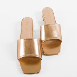 Saboti dama Maija Aurii 5