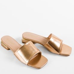 Saboti dama Maija Aurii 6