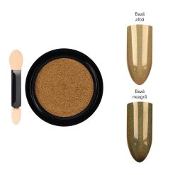 Glitter Gold-Nail Art > Pigmenti Unghii