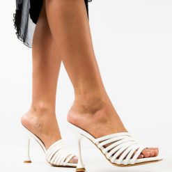 Saboti dama Ozolinsh Albi 2