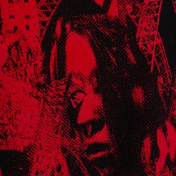 Dracula Land Dracula Park Hoodie 5