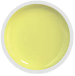 COVER COLOR GEL FSM 064 - CC-064 - Everin.ro-GELURI COLORATE ❤️