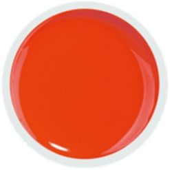 COVER COLOR GEL FSM 070 - CC-070 - Everin.ro-GELURI COLORATE ❤️