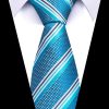 Cravata pentru barbati