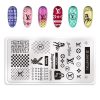 MATRITA UNGHII LV- ZZLV2 - ZZLV2 - Everin.ro-NAIL ART ❤️