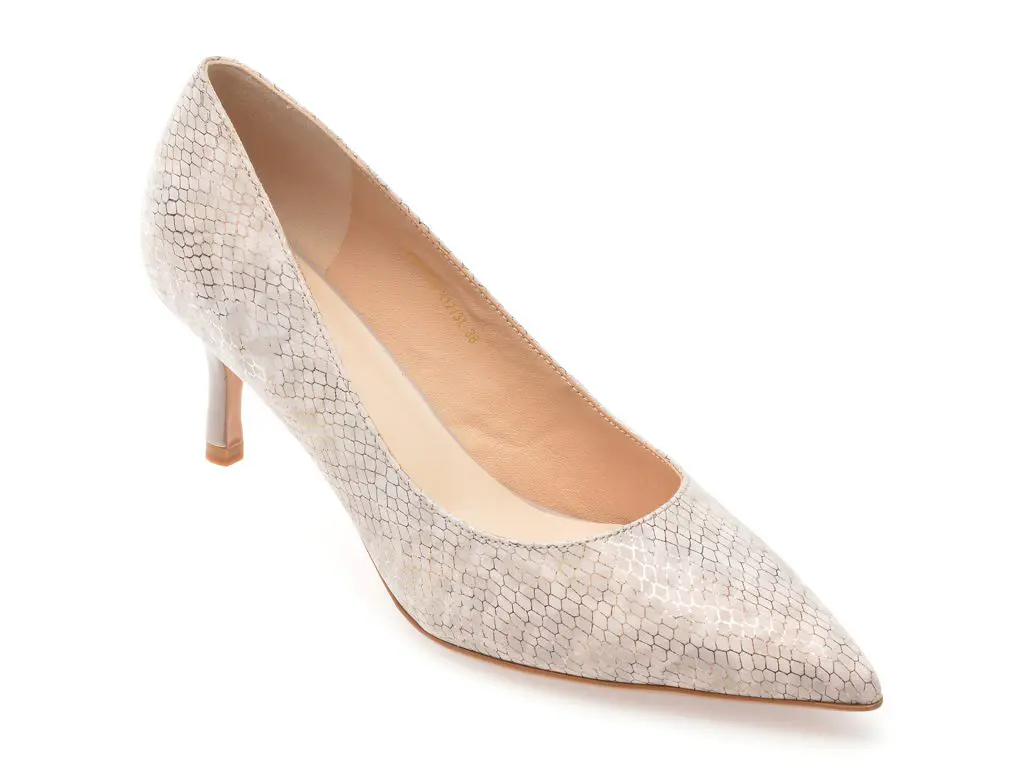 Pantofi eleganti EPICA arginti