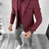Sacou barbati slim fit grena 10324 S1-3-Sacouri barbati