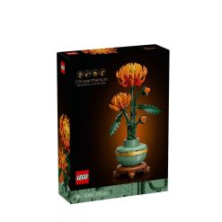 Chrysanthemum 10368-Jucarii-