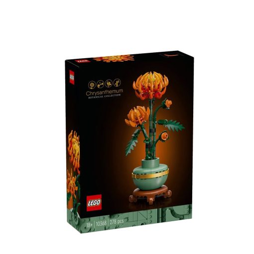 Chrysanthemum 10368-Jucarii-
