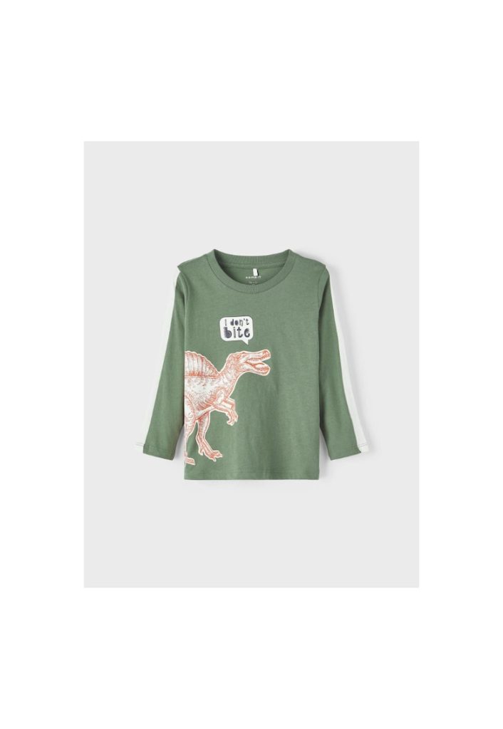 Hanorac Baieti -  301469988 - Bumbac - Verde-BAIETI/IMBRACAMINTE/Bluze-IMBRACAMINTE/Bluze