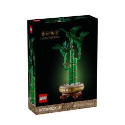 Lucky bamboo 10344-Jucarii-