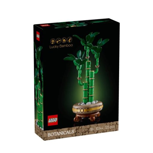Lucky bamboo 10344-Jucarii-
