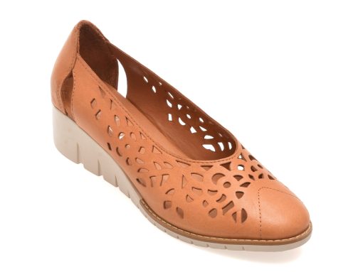 Pantofi FLAVIA PASSINI maro