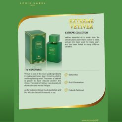 Parfum Louis Varel Extreme Vetiver apa de parfum 100 ml unisex 4
