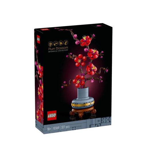 Plum blossom 10369-Jucarii-